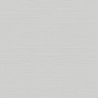 Tapete Grau, Silber Rasch Vliestapete (732344)