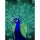 (SAMPLE) Digitaldruck-Tapete Peacock livingwalls (DD120045)