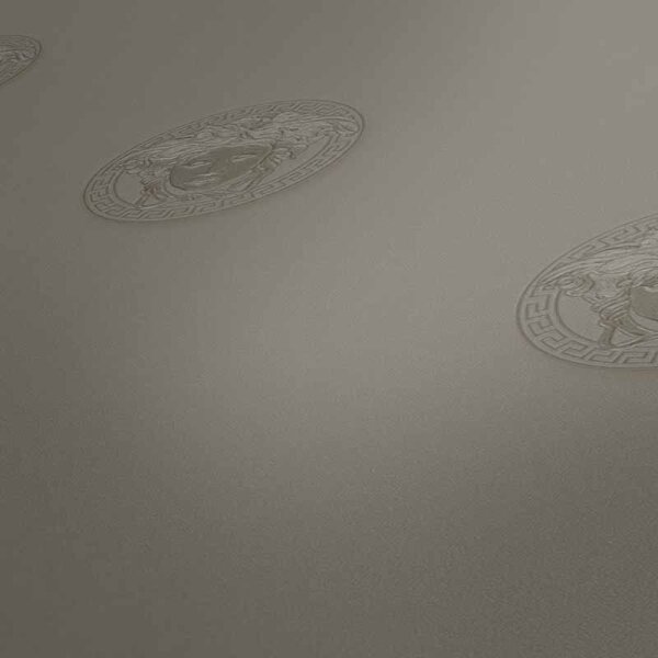 Tapete Grau, Silber VERSACE Vliestapete (348623)