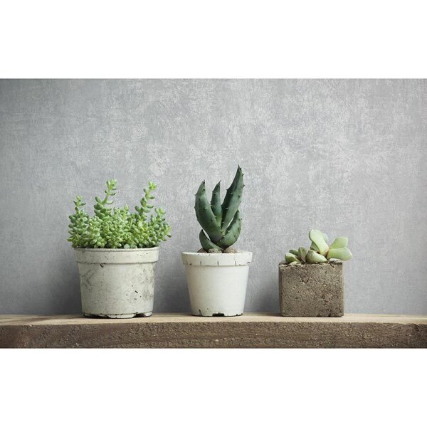 Tapete Grau, Silber Novamur Vliestapete (82376)