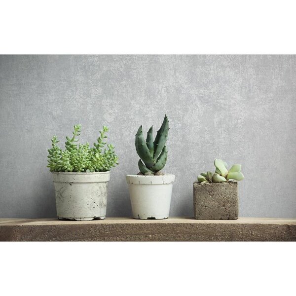 Tapete Grau, Silber Novamur Vliestapete (82376)