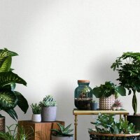 Tapete Wei&szlig; Novamur Vliestapete (82345)