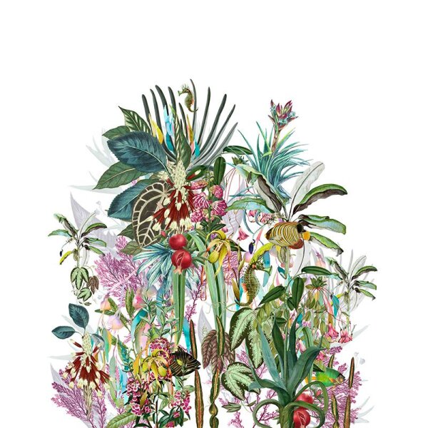 Digitaldruck-Tapete Kekoa Marburg (46921)