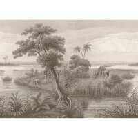 Digitaldruck-Tapete Schwarz-Wei&szlig; Rasch (556162)