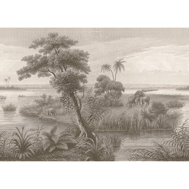 Digitaldruck-Tapete Schwarz-Weiß Rasch (556155)