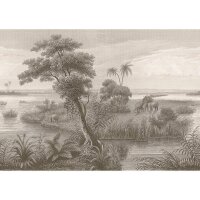 Digitaldruck-Tapete Schwarz-Wei&szlig; Rasch (556155)