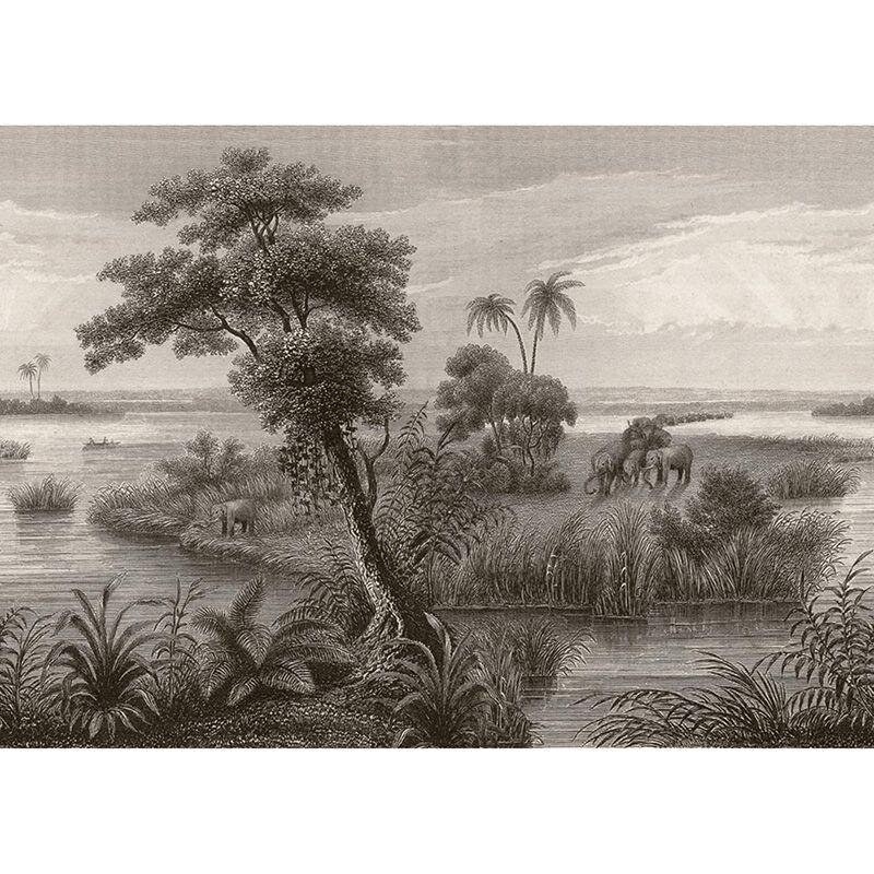 Digitaldruck-Tapete Schwarz-Weiß Rasch (556148)