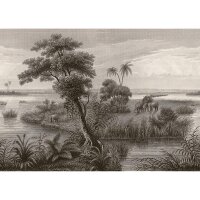 Digitaldruck-Tapete Schwarz-Wei&szlig; Rasch (556148)