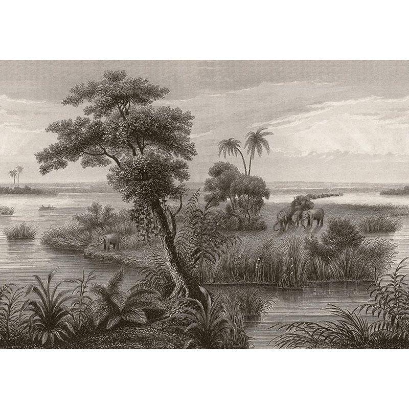 Digitaldruck-Tapete Schwarz-Weiß Rasch (556131)