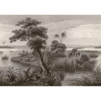 Digitaldruck-Tapete Schwarz-Wei&szlig; Rasch (556131)