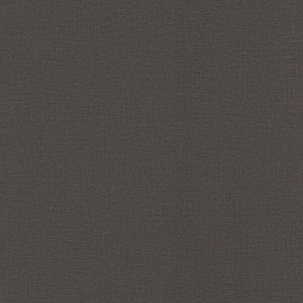 Tapete Schwarz, Anthrazit Rasch Vliestapete (555974)