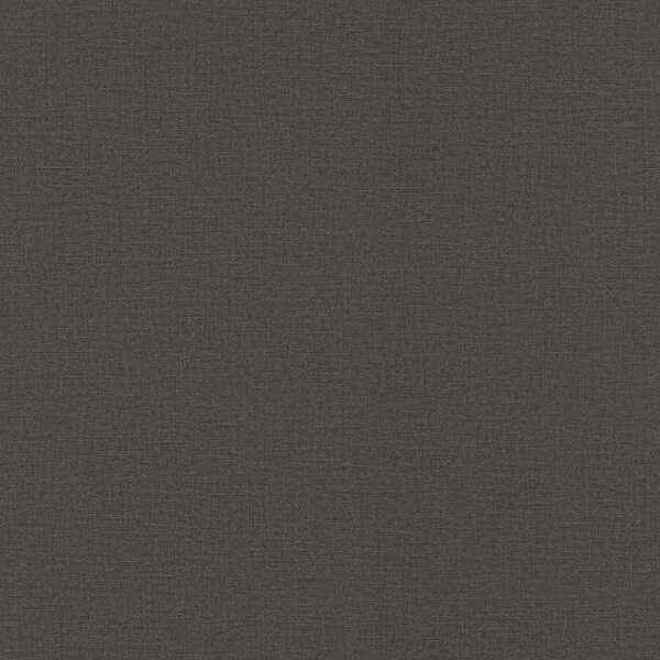 Tapete Schwarz, Anthrazit Rasch Vliestapete (555974)