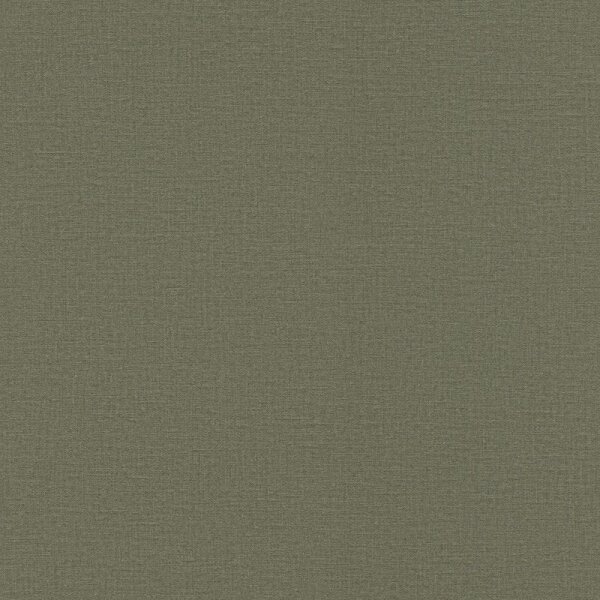Tapete Grün Rasch Vliestapete (555943)