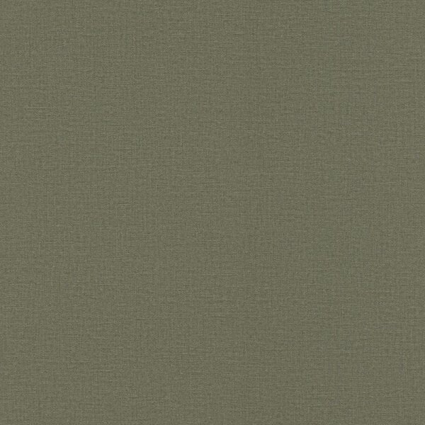 Tapete Grün Rasch Vliestapete (555943)