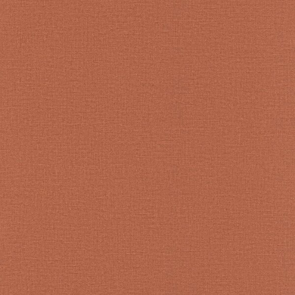 Tapete Braun Rasch Vliestapete (555912)