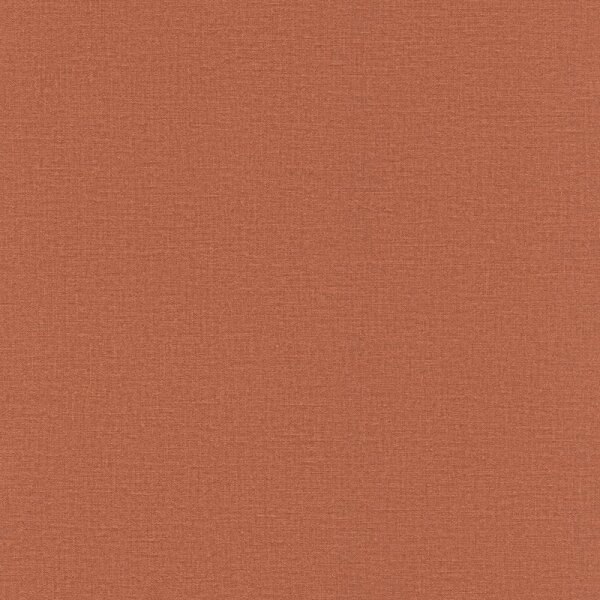 Tapete Braun Rasch Vliestapete (555912)