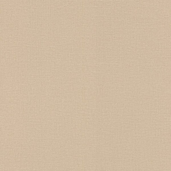 Tapete Braun Rasch Vliestapete (555882)