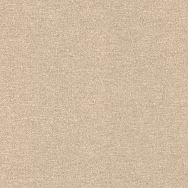 Tapete Braun Rasch Vliestapete (555882)