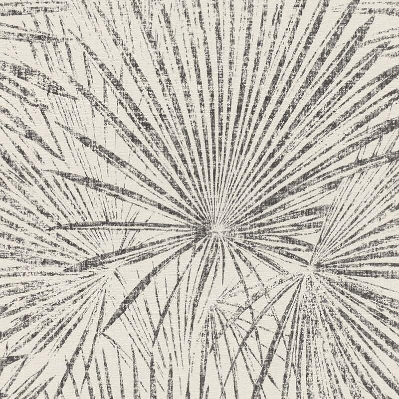 Tapete Schwarz-Weiß Rasch Vliestapete (555738)