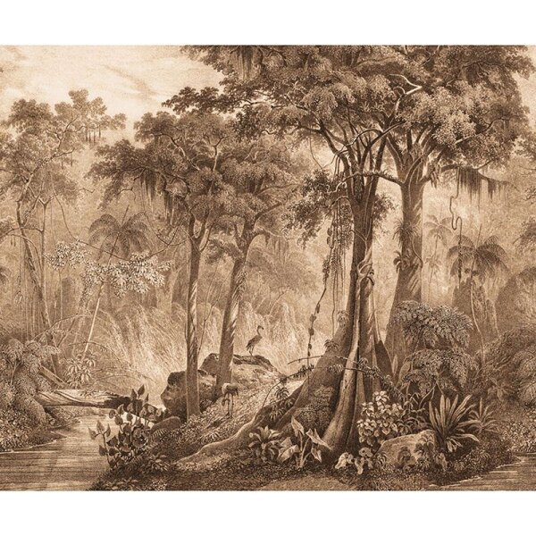 Digitaldruck-Tapete Braun Rasch (543773)