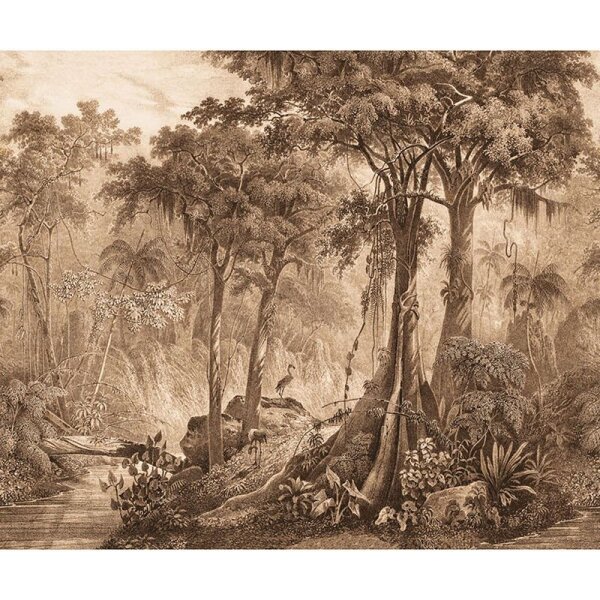 Digitaldruck-Tapete Braun Rasch (543773)