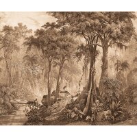 Digitaldruck-Tapete Braun Rasch (543773)