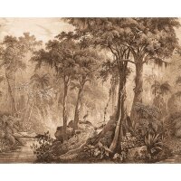 Digitaldruck-Tapete Braun Rasch (543766)