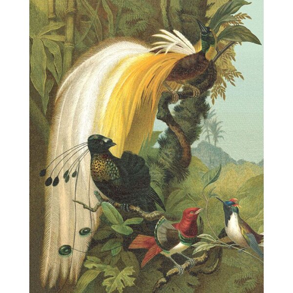 Digitaldruck-Tapete Gelb, Vanille, Grün Rasch (543797)