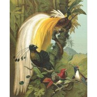 Digitaldruck-Tapete Gelb, Vanille, Gr&uuml;n Rasch (543797)