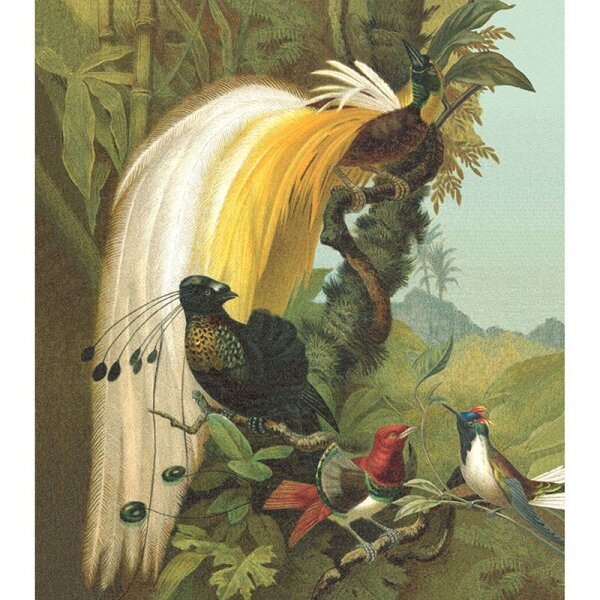 Digitaldruck-Tapete Gelb, Vanille, Grün Rasch (543780)