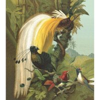 Digitaldruck-Tapete Gelb, Vanille, Gr&uuml;n Rasch (543780)