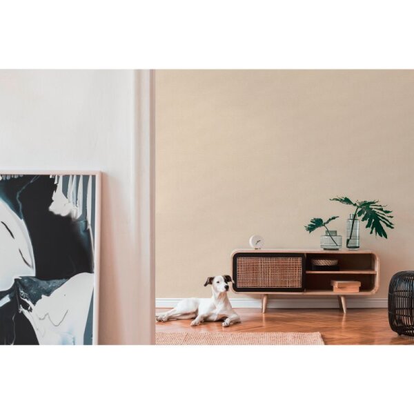 Tapete Beige, Creme, Rosa, Rose AS-Creation Vliestapete (306896)