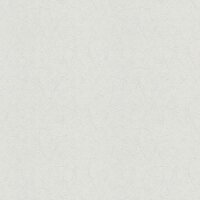 Tapete Wei&szlig; &Uuml;berstreichbar AS-Creation (587114)