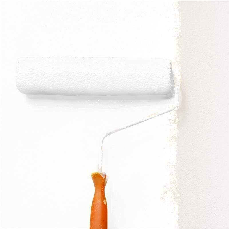 Wandfarbe Matt NCS-S-0300-N Profi Qualität für Innen