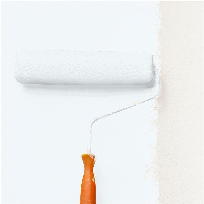 Wandfarbe Matt NCS-S-0502-B Profi Qualität für Innen