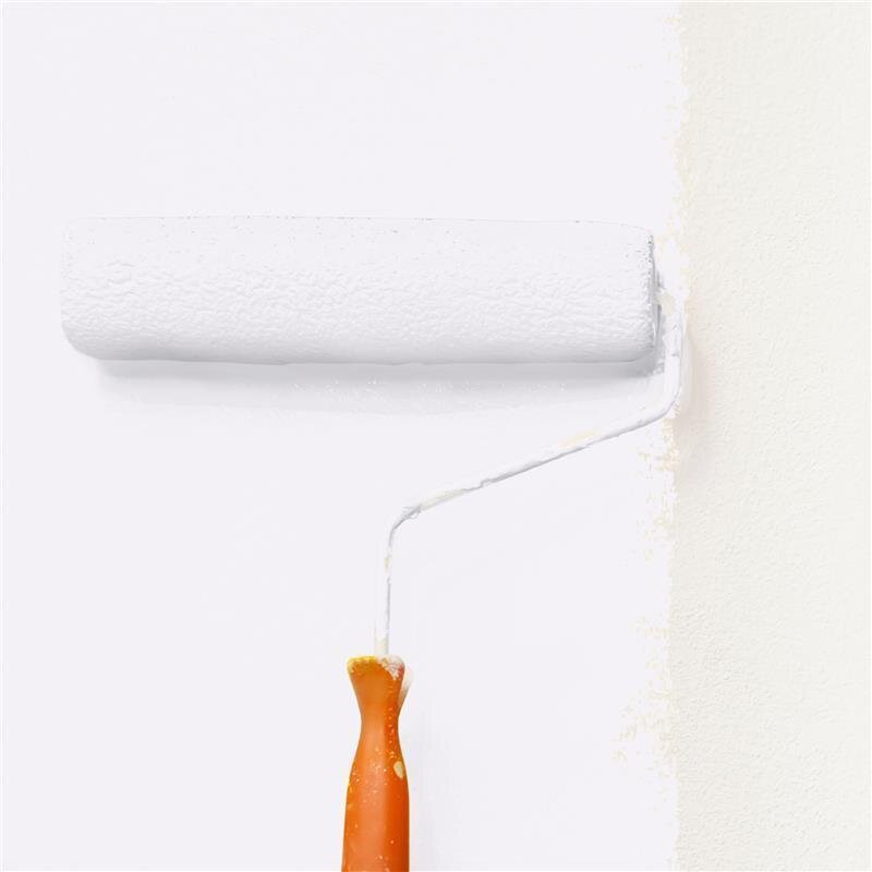 Wandfarbe Matt NCS-S-0502-R50B Profi Qualität für Innen