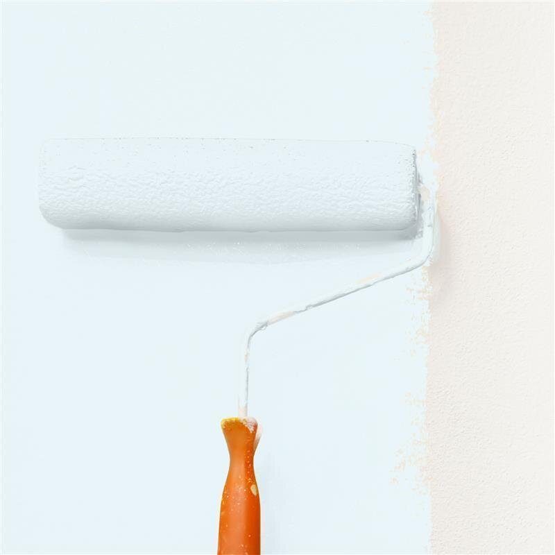 Wandfarbe Matt NCS-S-0505-B20G Profi Qualität für Innen