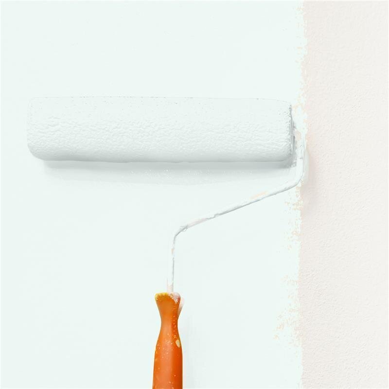 Wandfarbe Matt NCS-S-0505-B80G Profi Qualität für Innen