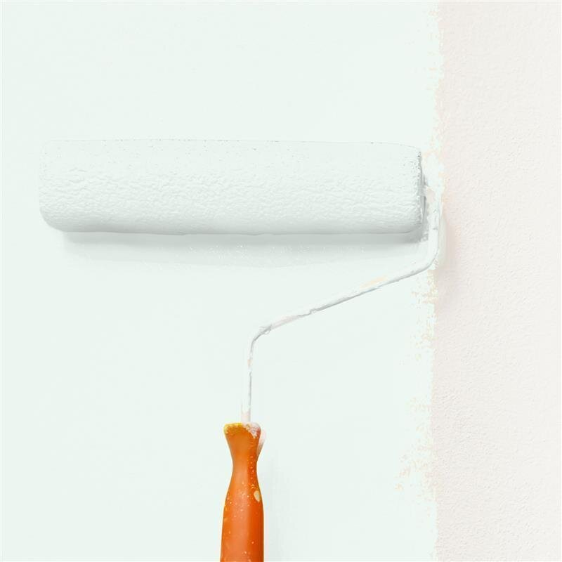 Wandfarbe Matt NCS-S-0505-G Profi Qualität für Innen