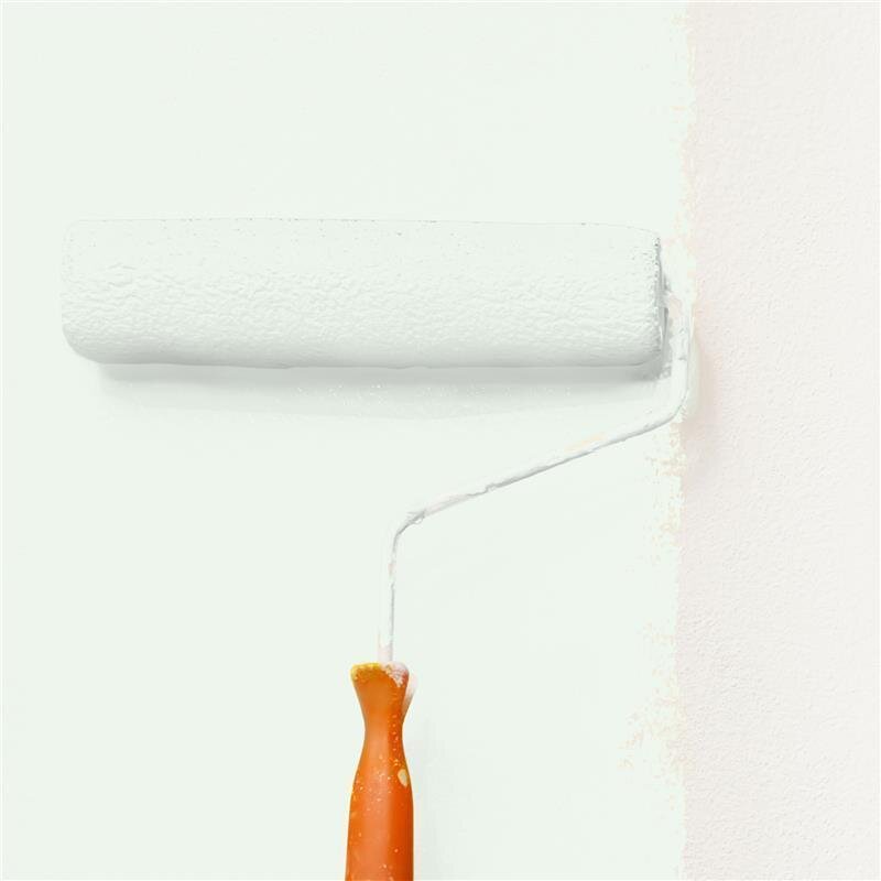 Wandfarbe Matt NCS-S-0505-G20Y Profi Qualität für Innen