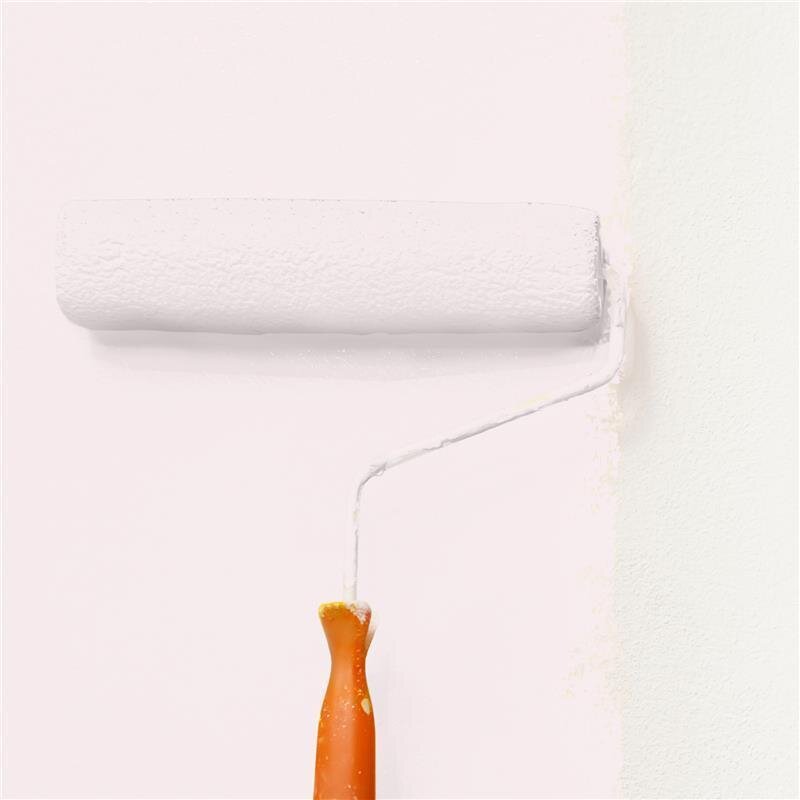 Wandfarbe Matt NCS-S-0505-R10B Profi Qualität für Innen