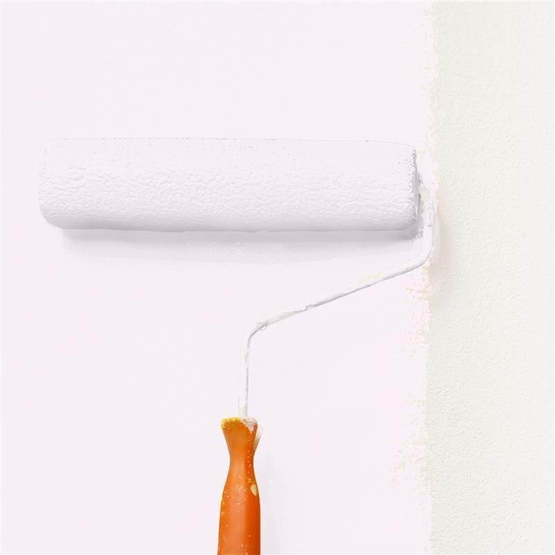 Wandfarbe Matt NCS-S-0505-R30B Profi Qualität für Innen