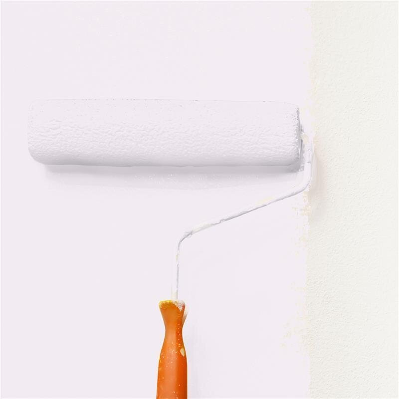 Wandfarbe Matt NCS-S-0505-R40B Profi Qualität für Innen