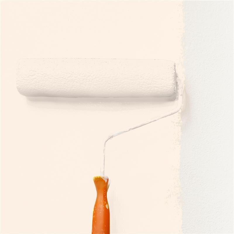 Wandfarbe Matt NCS-S-0505-Y60R Profi Qualität für Innen