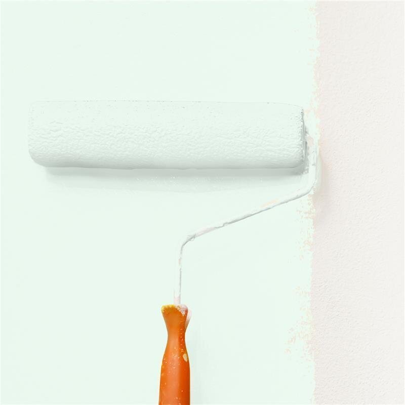 Wandfarbe Matt NCS-S-0507-G Profi Qualität für Innen