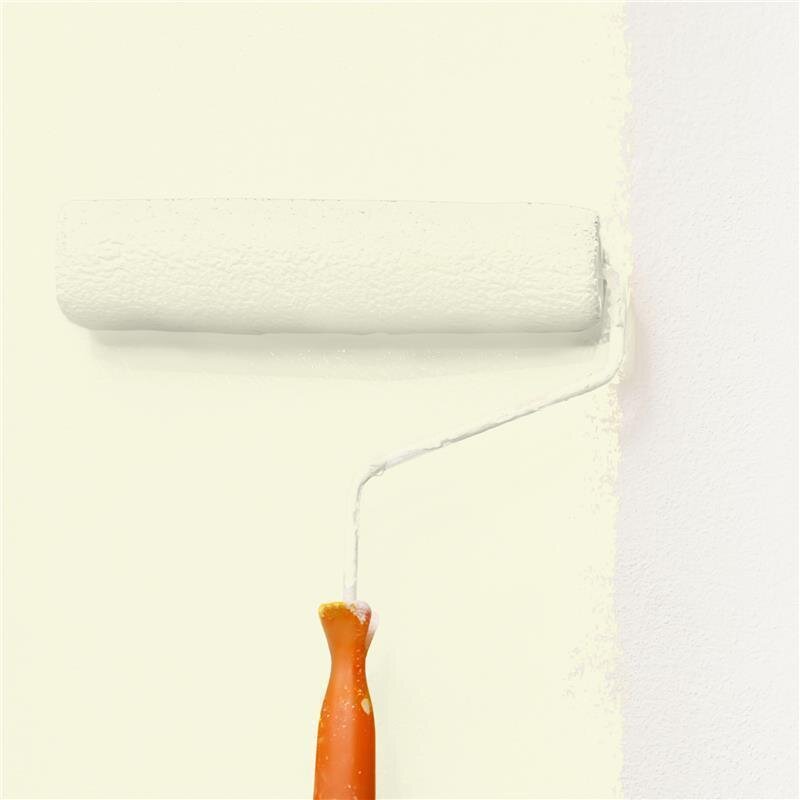 Wandfarbe Matt NCS-S-0507-G80Y Profi Qualität für Innen