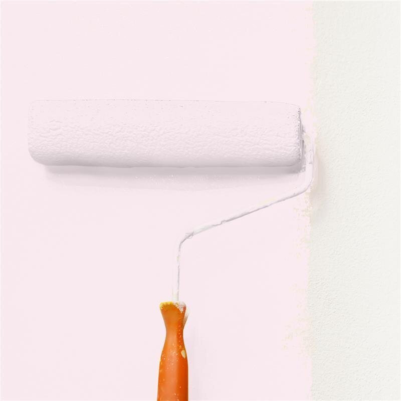 Wandfarbe Matt NCS-S-0507-R20B Profi Qualität für Innen