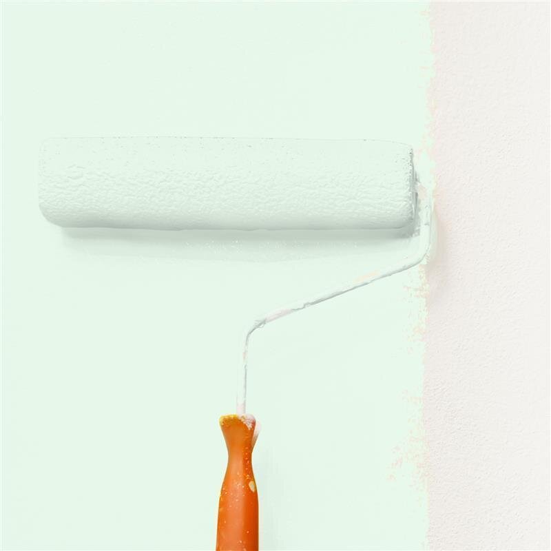 Wandfarbe Matt NCS-S-0510-G10Y Profi Qualität für Innen