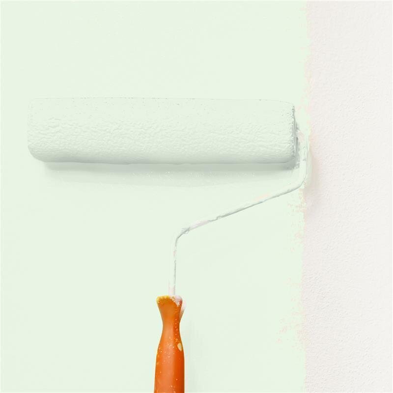 Wandfarbe Matt NCS-S-0510-G20Y Profi Qualität für Innen