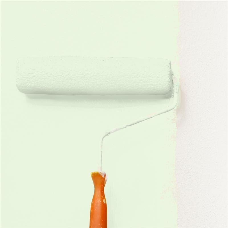 Wandfarbe Matt NCS-S-0510-G30Y Profi Qualität für Innen